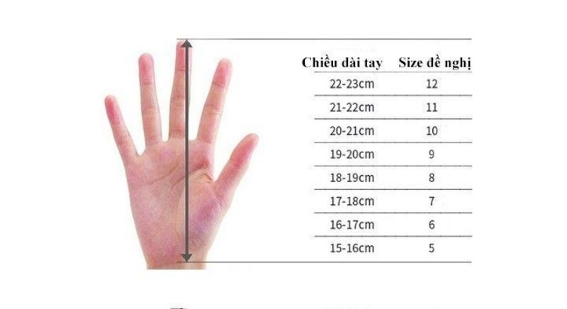 Cách chọn size găng tay thủ môn theo chiều dài bàn tay