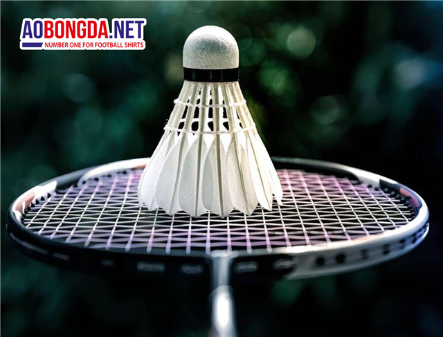 Gen Vợt Cầu Lông Là Gì? Phân Loại Các Loại Gen Vợt Phổ Biến Hiện Nay