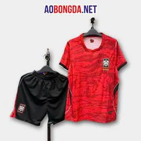 Áo Bóng Đá Đội Tuyển Hàn Quốc Đỏ World Cup 2026-2027