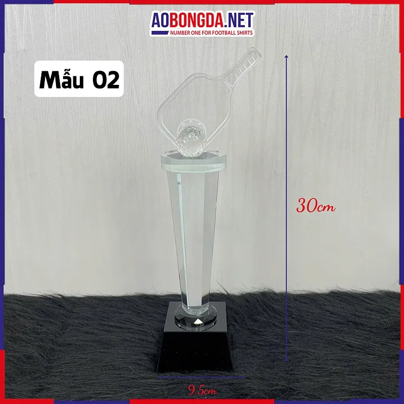 Kỷ Niệm Chương Pickleball Mã 2