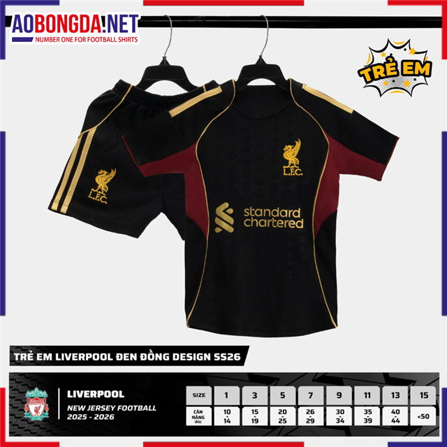 Áo Bóng Đá Câu Lạc Bộ Liverpool Trẻ Em Đen Đồng 2025-2026