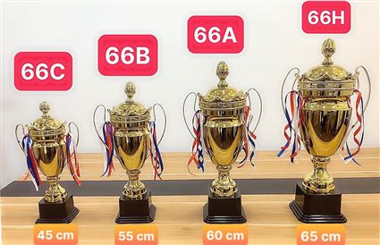 Cup trao giải bóng đá mã 2066