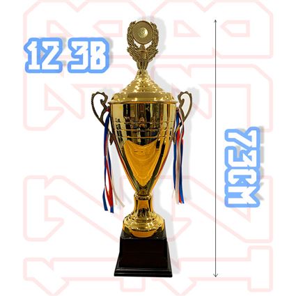 Cup trao giải bóng đá mã 123 ABC