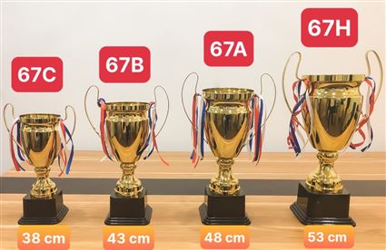 Cup trao giải bóng đá mã 2067