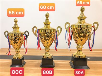 Cup trao giải bóng đá mã 1580