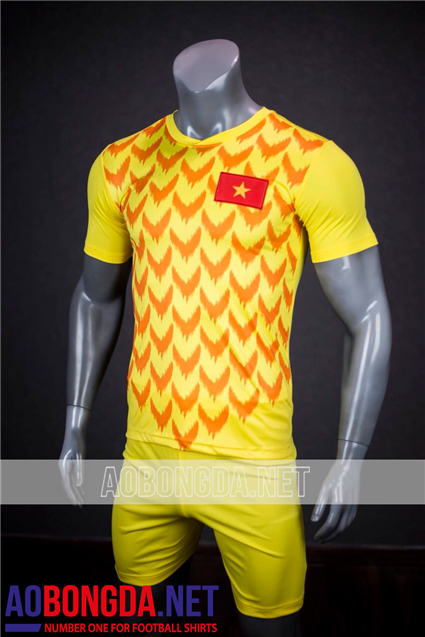 Áo Bóng Đá Thủ Môn Việt Nam Vàng Asian cup 2019