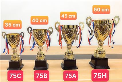 Cup trao giải bóng đá mã 2075 HABC