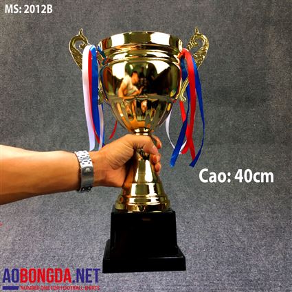 Cúp bóng đá 2012B