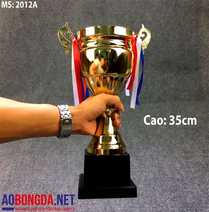 Cúp bóng đá 2012C