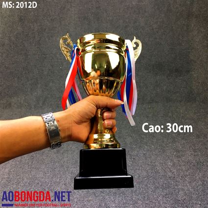 Cúp bóng đá 2012D