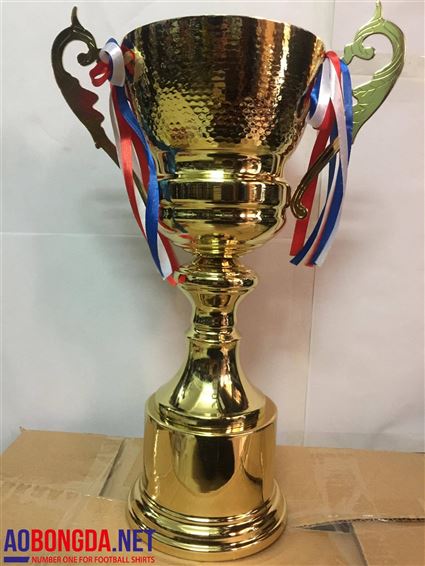 Cúp bóng đá 2013A