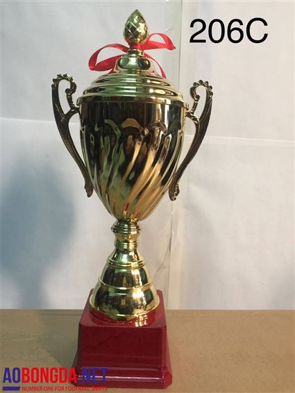 Cúp bóng đá 206C