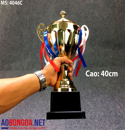 Cúp bóng đá 4060C