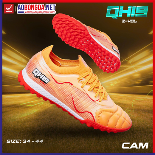 Cam