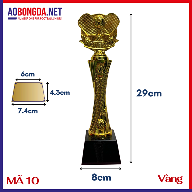 Kỷ Niệm Chương Pickleball Mã 10 Vàng