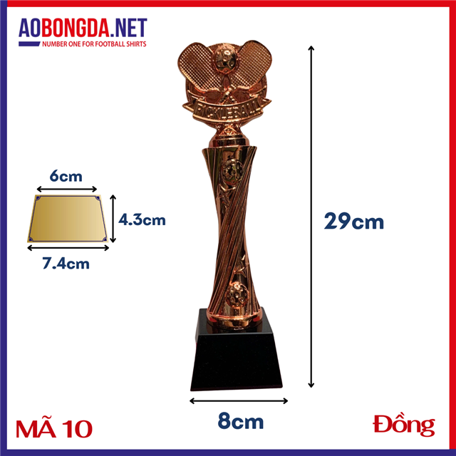 Kỷ Niệm Chương Pickleball Mã 10 Đồng