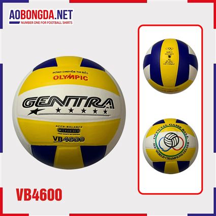 Quả Bóng Chuyền Bách Hiền Gentra VB 4600