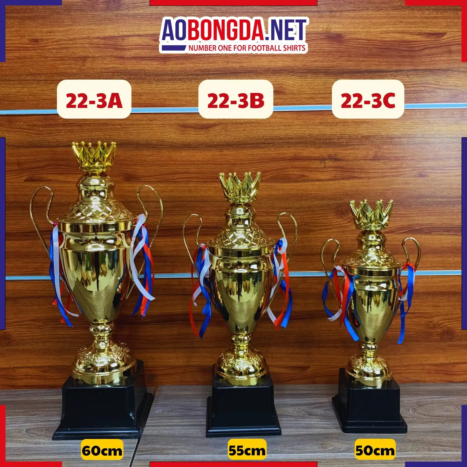 Cúp Trao Giải Bóng Đá Mã 22-3