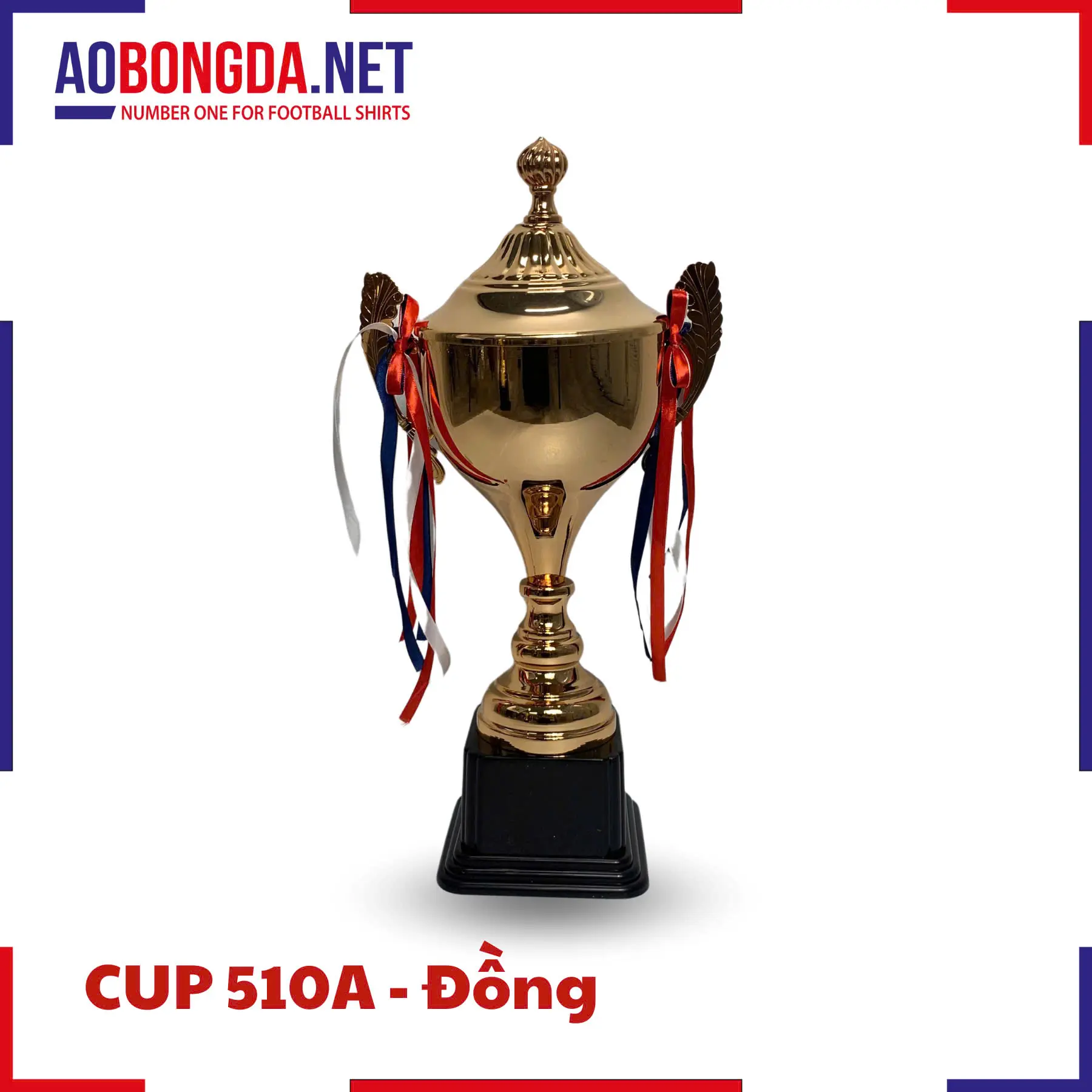 z5836093670647_065c05e730ff3733e67978a186fddf7f