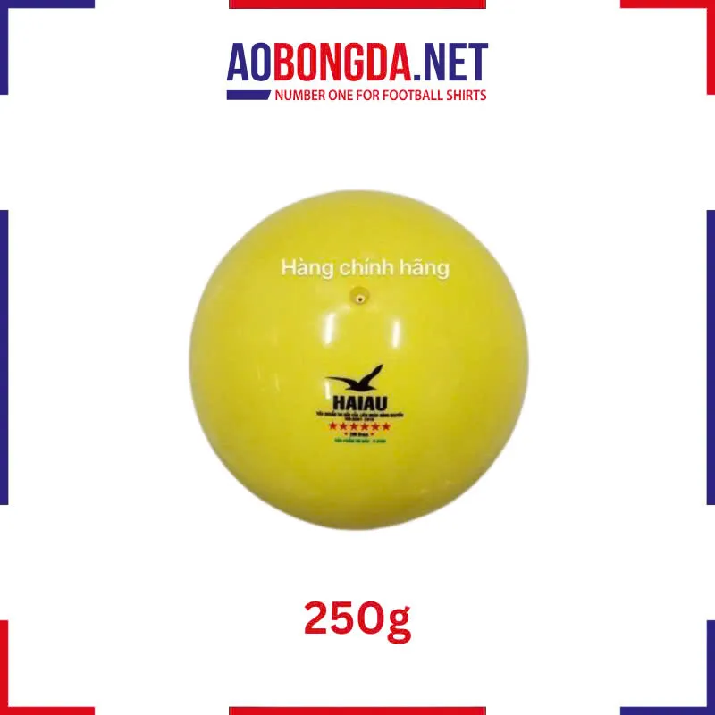 Bóng Chuyền Hơi Hải Âu Vàng